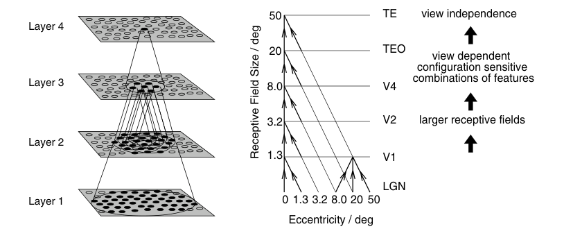 Fig1