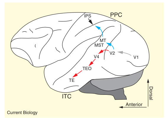 Fig2