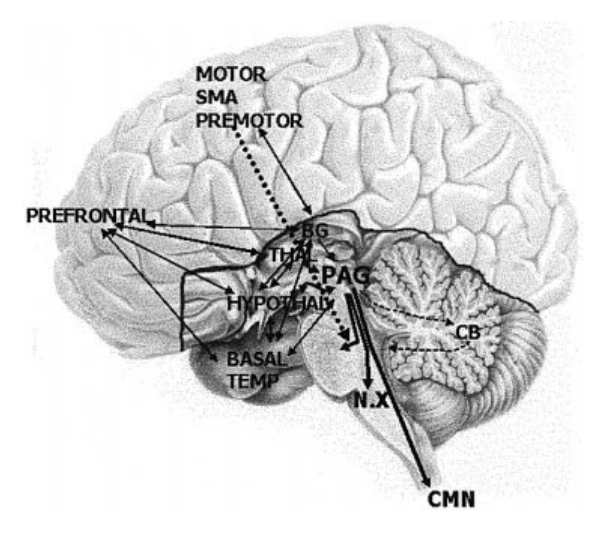 Fig1