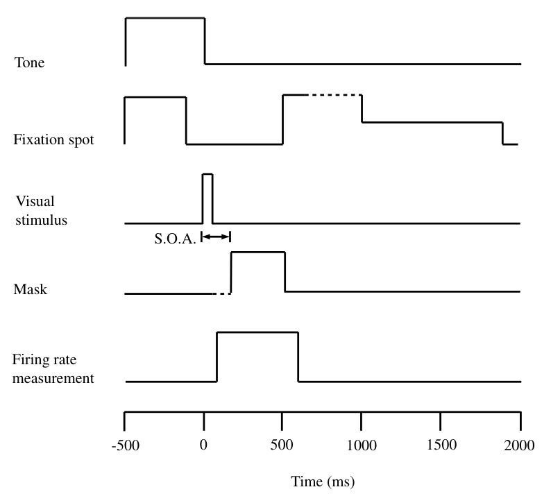 Fig1