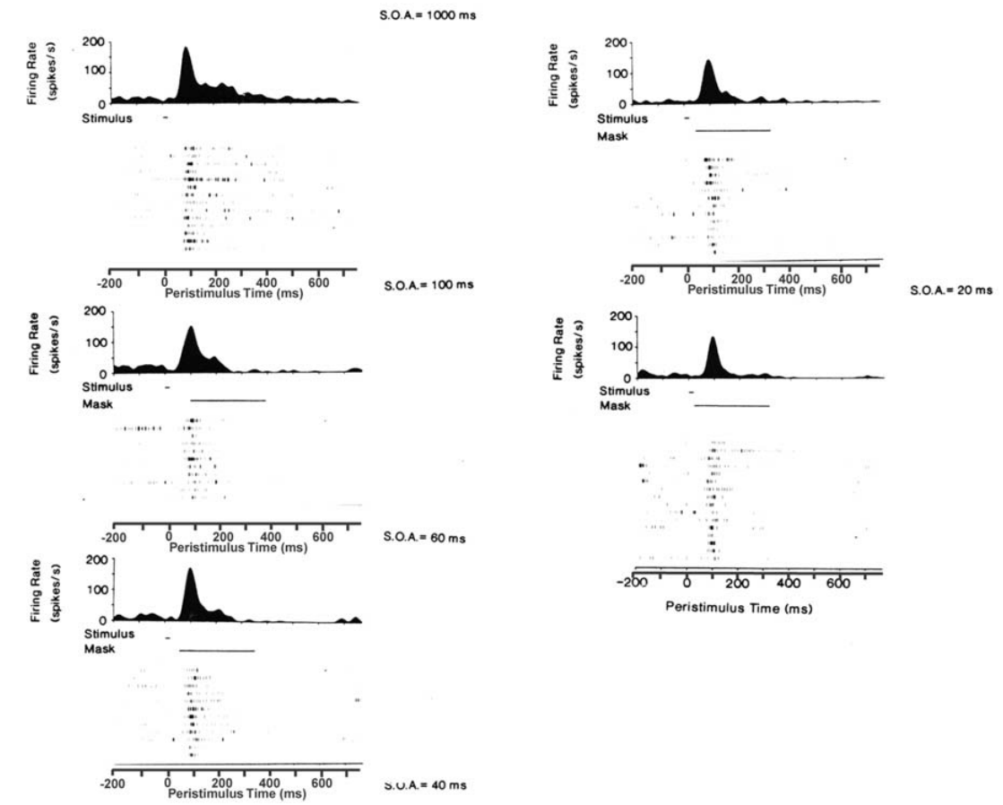 Fig3