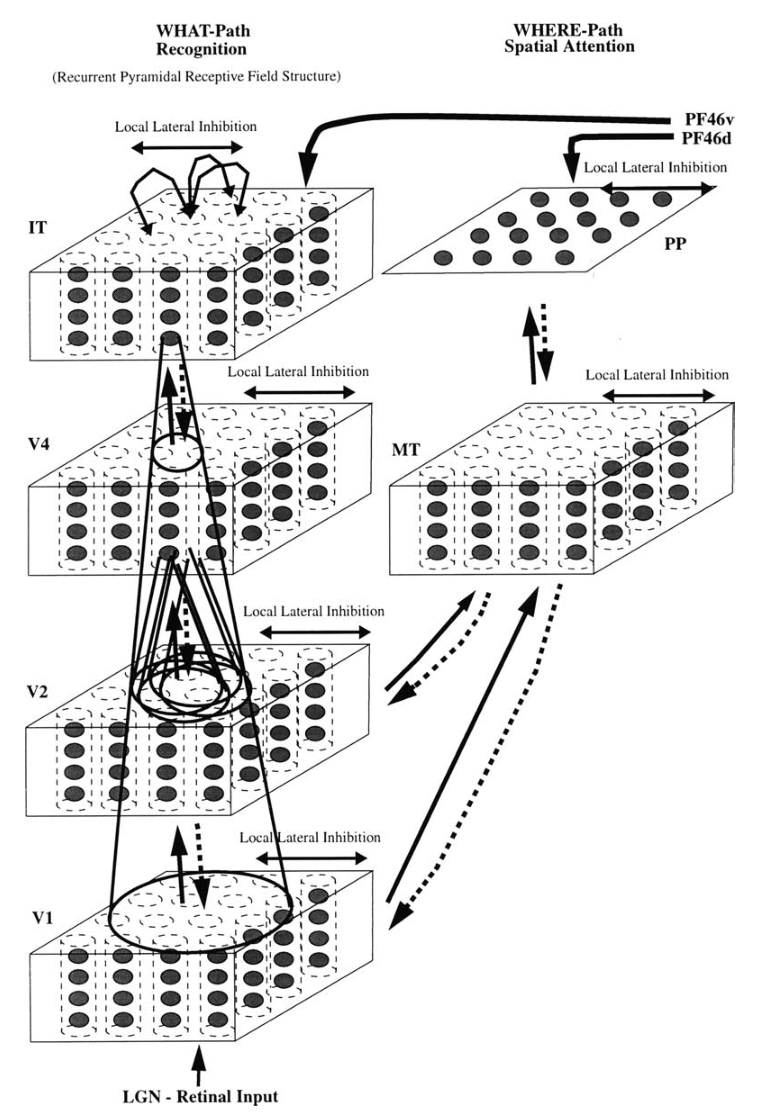 Fig1