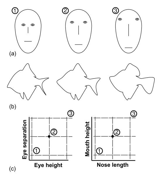 Fig1