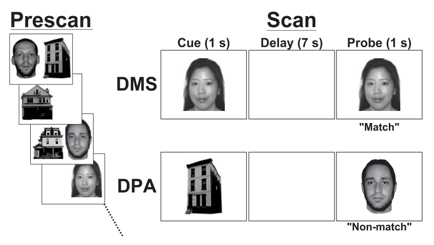 Fig1