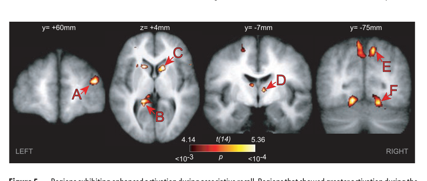 Fig5