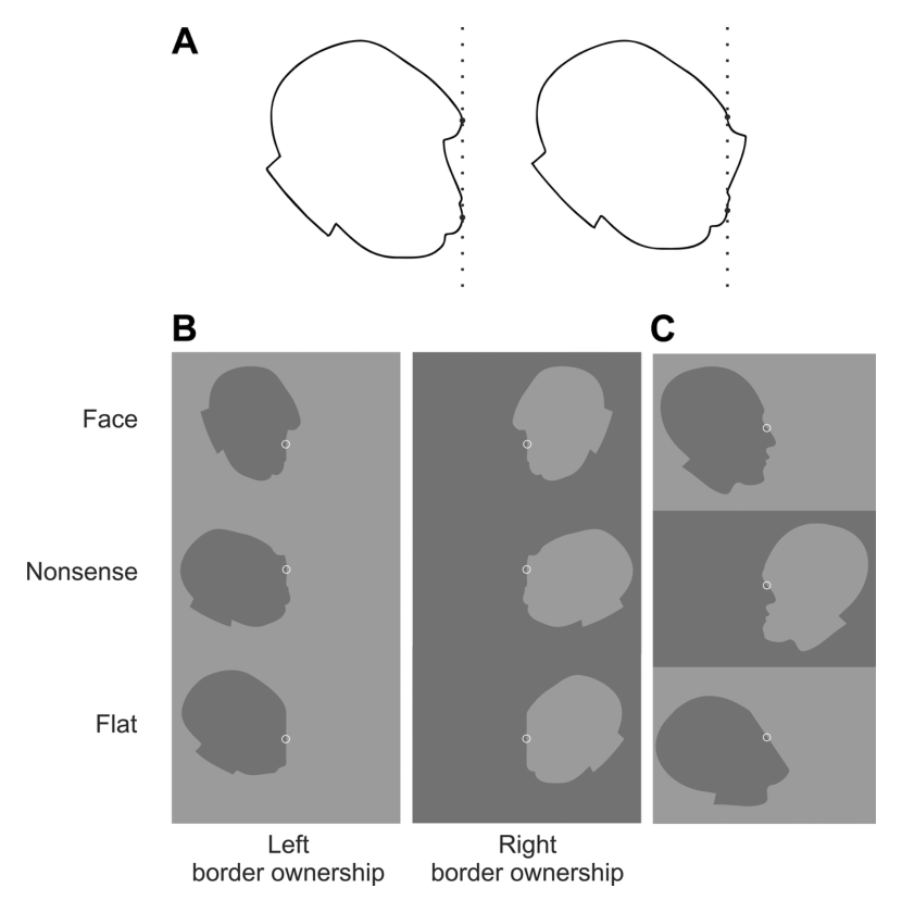 Fig1