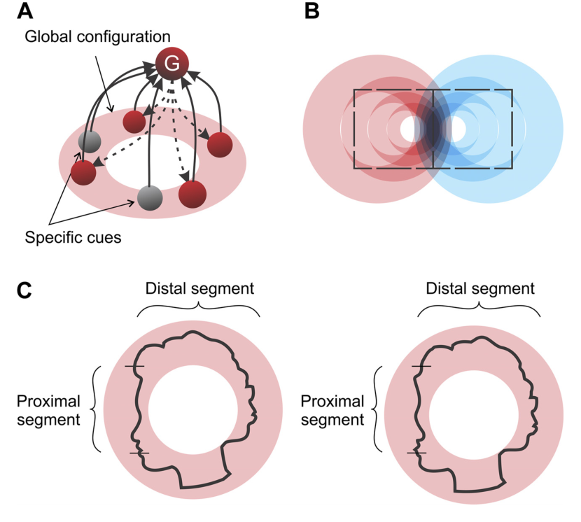 Fig13