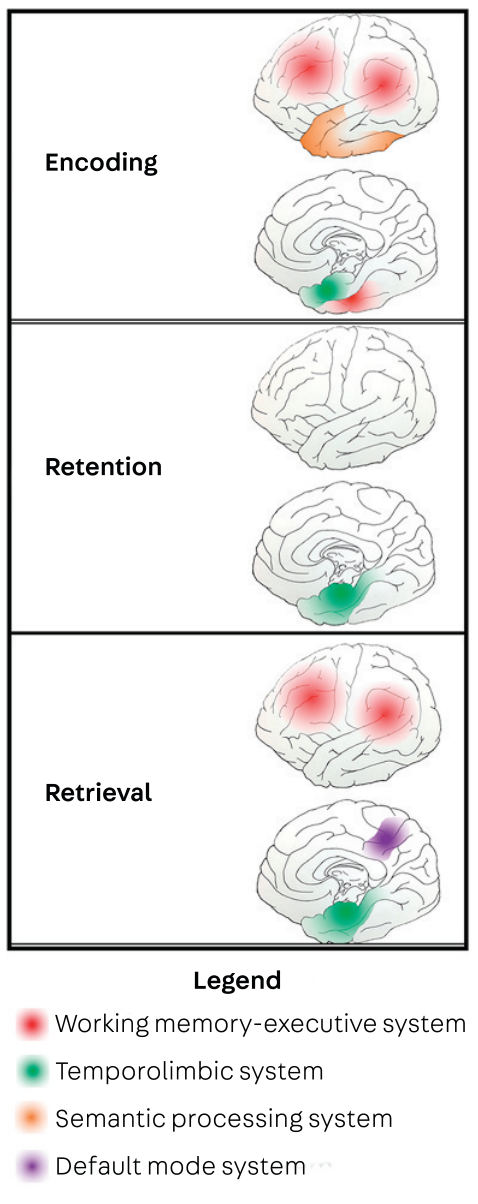 Fig3