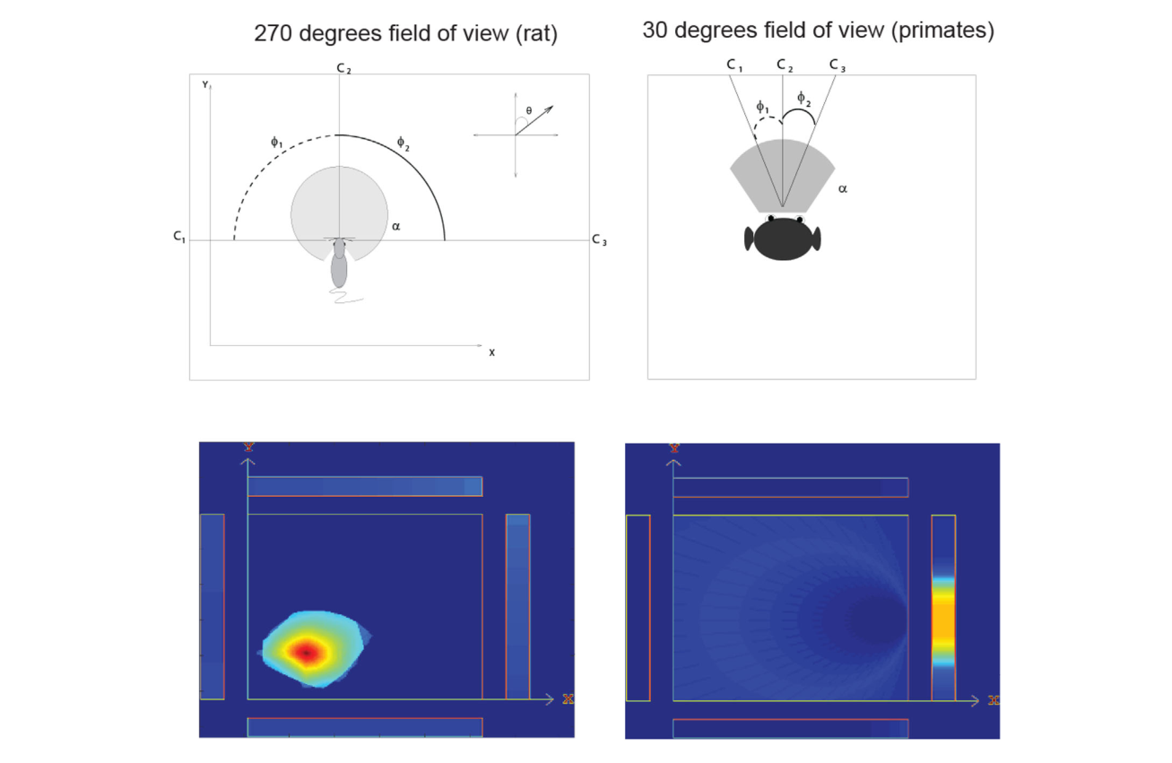 Figure 13