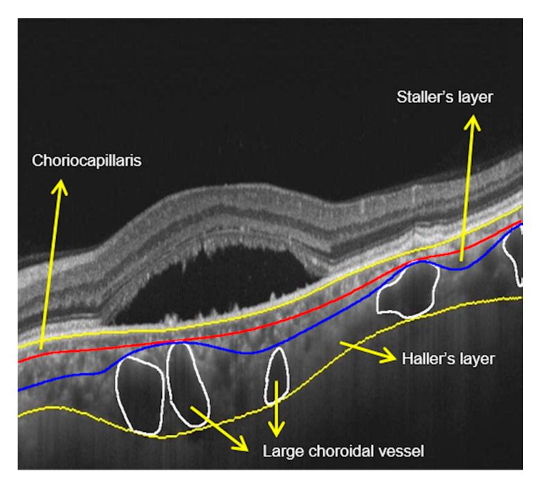 Figure 7