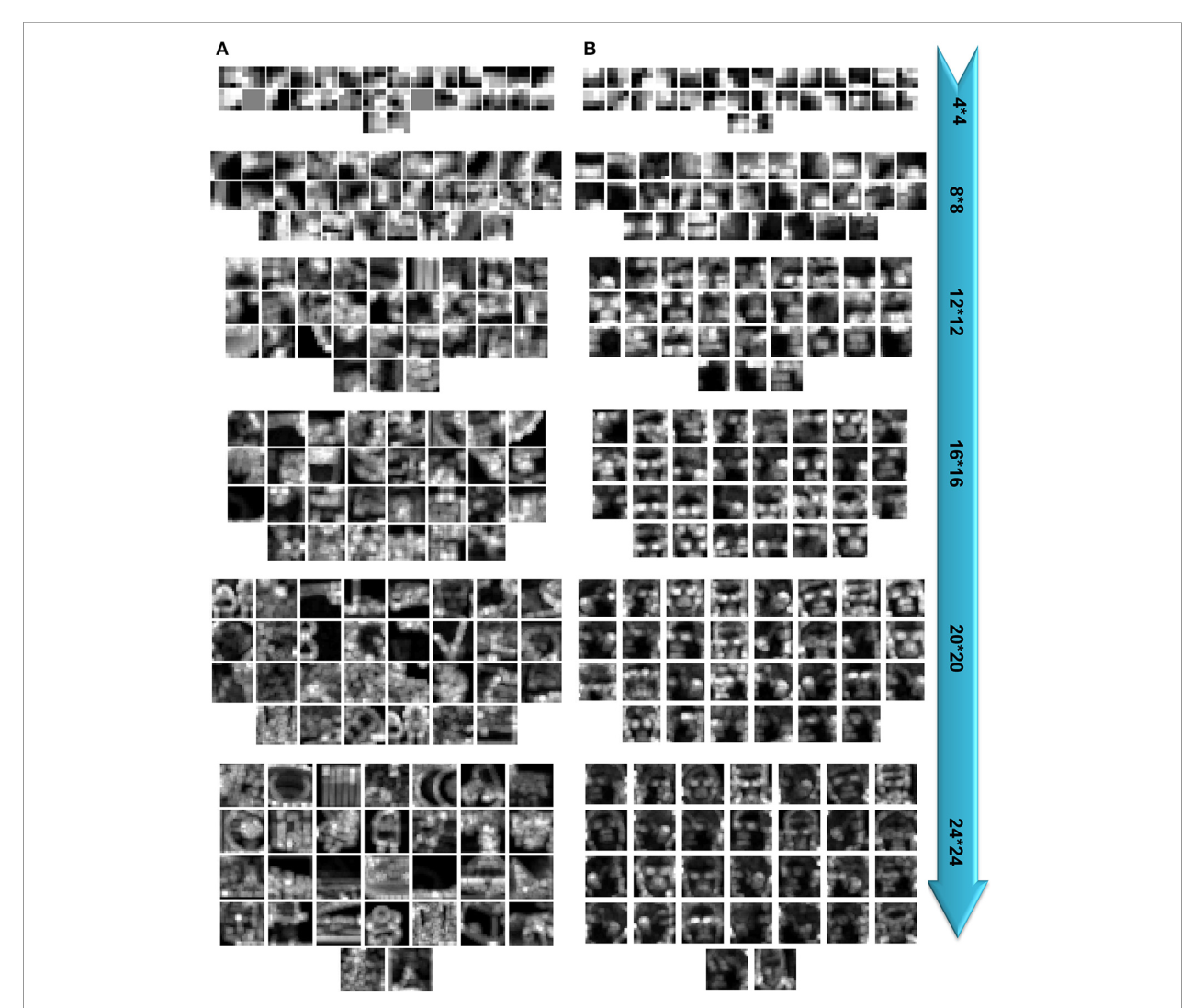 Figure 11