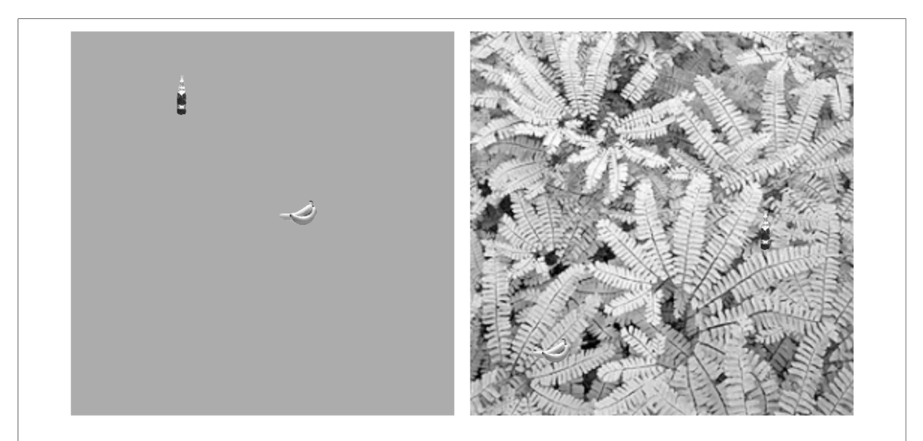 Figure 30