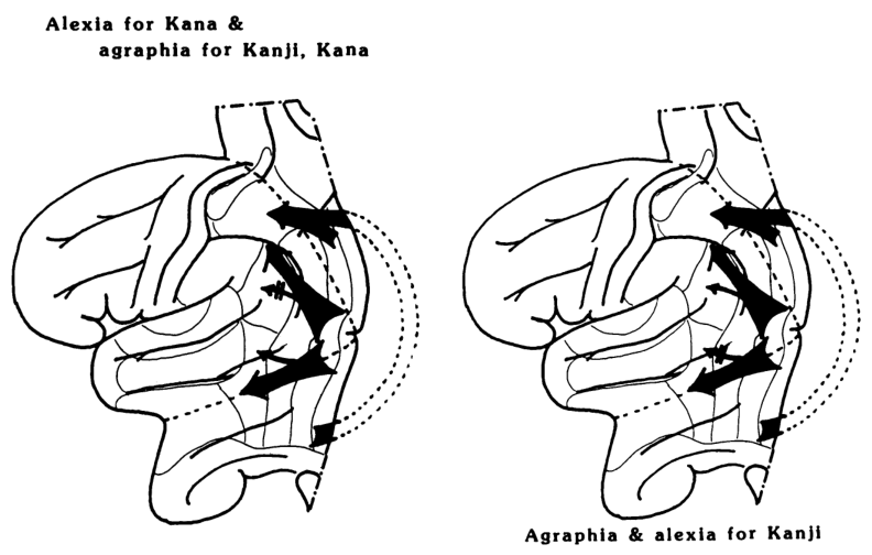 Figure 22